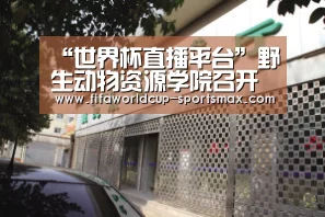 世界杯直播平台
