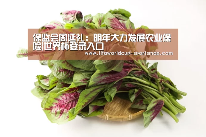 保监会周延礼:明年大力发展农业保险|世界杯登录入口(图4) 世界杯登录入口