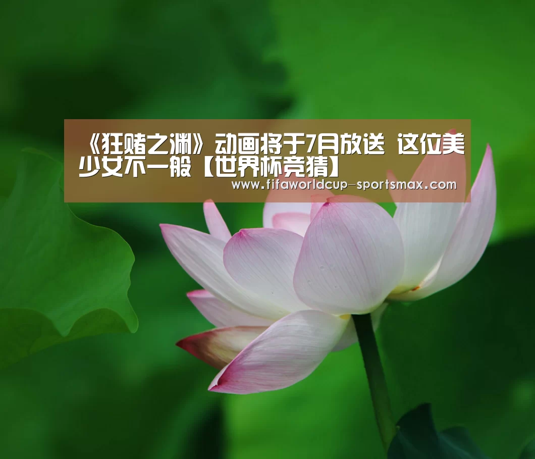 世界杯直播平台