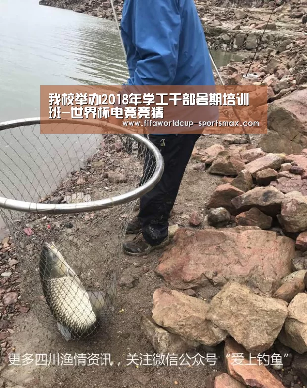我校举办2018年学工干部暑期培训班-世界杯电竞竞猜(图3) 世界杯电竞竞猜